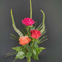 Three roses in a small glass vase with tall green spikes