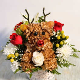 Teddy bear floral arrangement with red and white roses in a wicker basket
