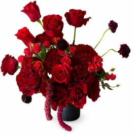 Crimson Love Story