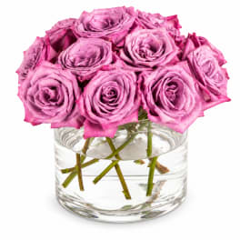 Lavender Love