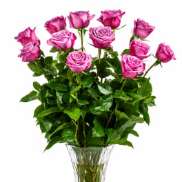 Dozen Long Stemmed Lavender Roses