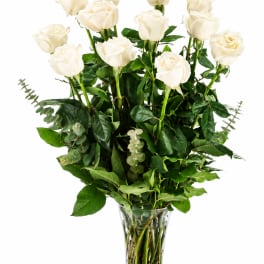 Dozen Long Stemmed White Roses