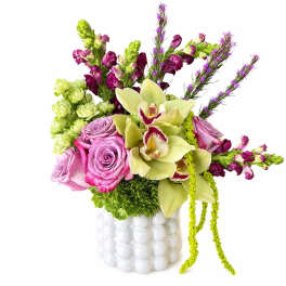 Wild Orchid