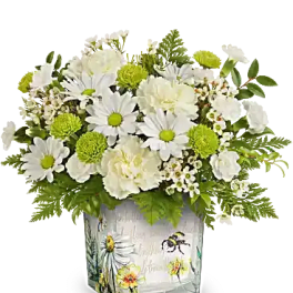 White daisies and green pompons in a painted ceramic vase
