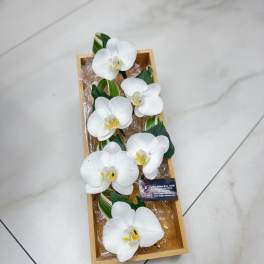 White orchid blooms arranged in a rectangular wooden tray