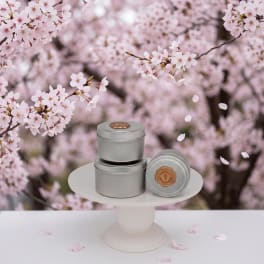 Artisan soy blend tin candle