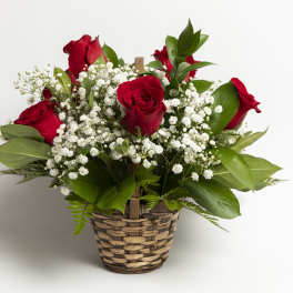 Red roses and baby's breath in a woven basket