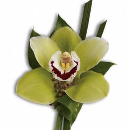 Green cymbidium orchid boutonniere with red and white center and linear foliage accents