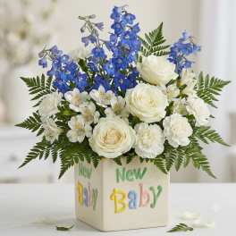 New Baby Blue and White