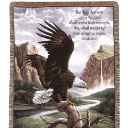 Framed tapestry of a bald eagle with a Bible verse over a mountain landscape