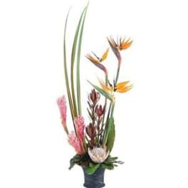 Tall tropical arrangement with bird of paradise and pink ginger in a dark vase