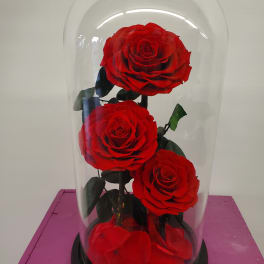 Three red roses under a clear glass dome on a black base
