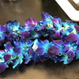 Blue orchid lei