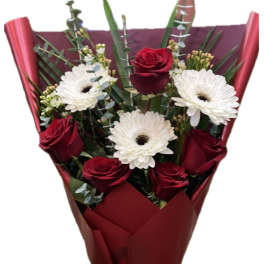 Bouquet of red roses and white gerbera daisies wrapped in burgundy paper