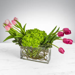 Simply Spring