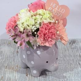Welcome Baby Girl Elephant