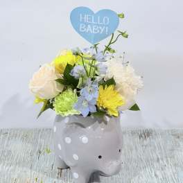 Welcome Baby Boy Elephant