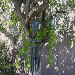 Black wind chime hanging from a tree trunk in a yard