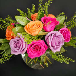 Daybreak Roses