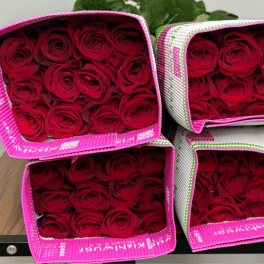 Four boxes of red roses arranged in a stacked display