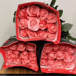 Three boxes filled with pink roses and red trim