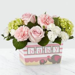 Darling Baby Girl