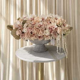 Blushing And Blooming