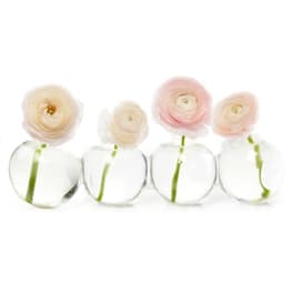 Four pale ranunculus stems in round glass vases