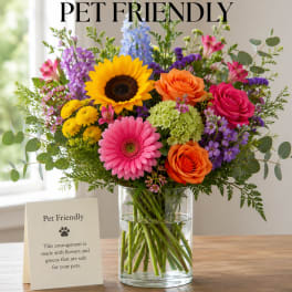 Designer's Choice- PET FRIENDLY
