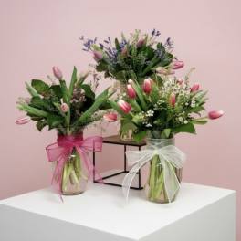 Three tulip bouquets in glass vases with ribbon bows