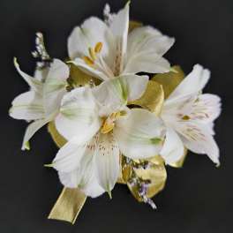 White lily corsage with gold ribbon on a black background