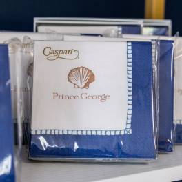 Stacked blue and white napkins in plastic packaging