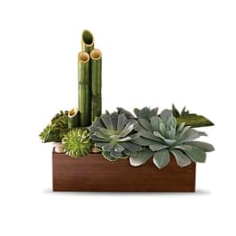 Succulent arrangement in a wooden box with bamboo stalks