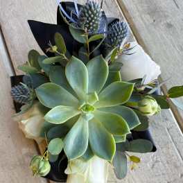Succulent bouquet with blue thistle and white blooms wrapped in black paper