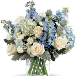 Blissful Blue