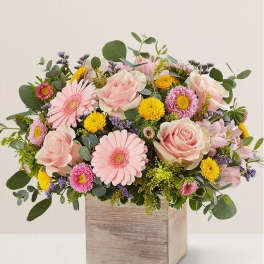 BN Spring Sentiment