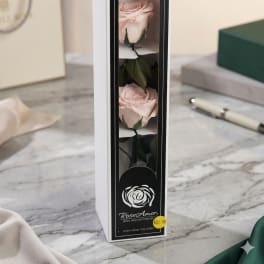 Pink Double Stem Preseved Forever Rose