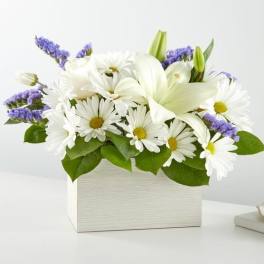 White daisies and lilies in a white box with purple accents