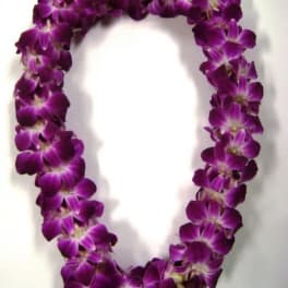 Purple orchid lei arranged in a loop on a white background