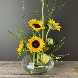 Sunflower Serenity
