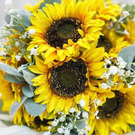 Bouquet of yellow sunflowers with white filler flowers