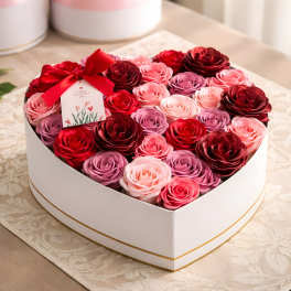 Passionate Romance A16