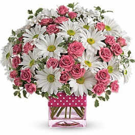 Pink roses and white daisies in a clear square vase with a polka-dot wrap