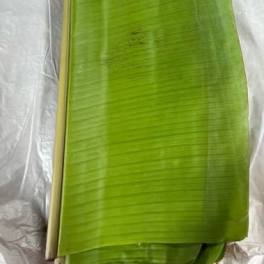 Single large green tropical leaf on plastic wrap