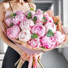 Bouquet of pink and white peonies wrapped in pastel paper