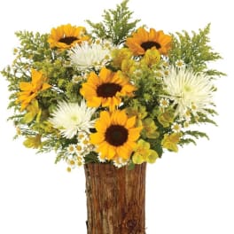 Sunflower and white daisy arrangement in a rustic wood vase