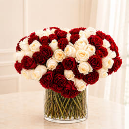 Red Heart Special NEW