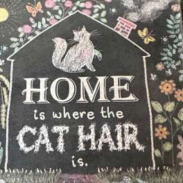 Home Is Where The Cat Hair Is