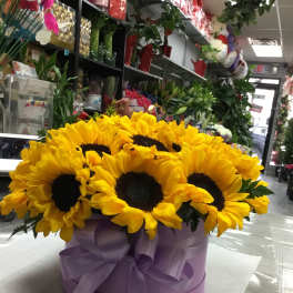 Bouquet of bright yellow sunflowers in a lavender hat box with ribbon