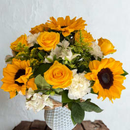 blooming yellow and white